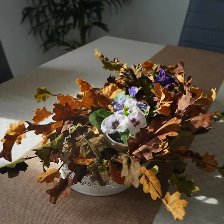 Casetta Al Mare アルビソーラ・スペリオーレ